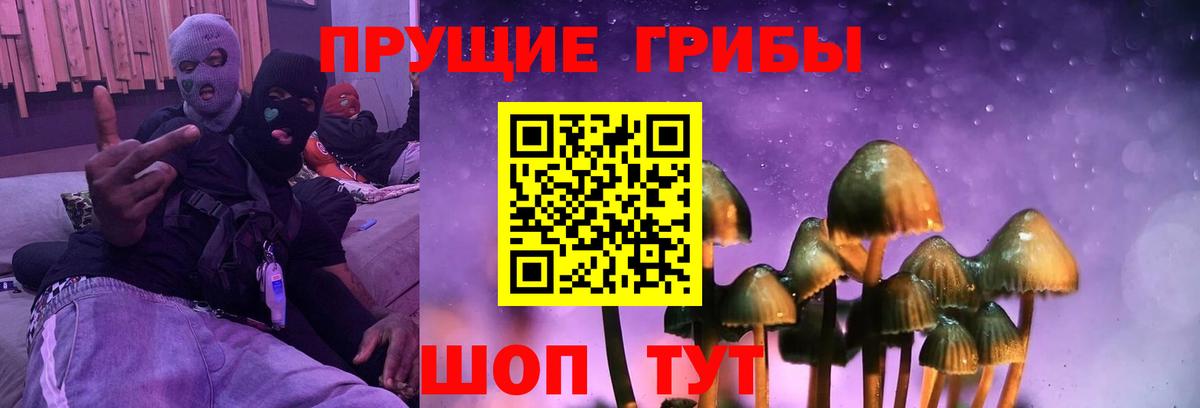 Галлюциногенные грибы мицелий Сочи